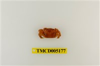 藏品(字紋弓蟹)的圖片